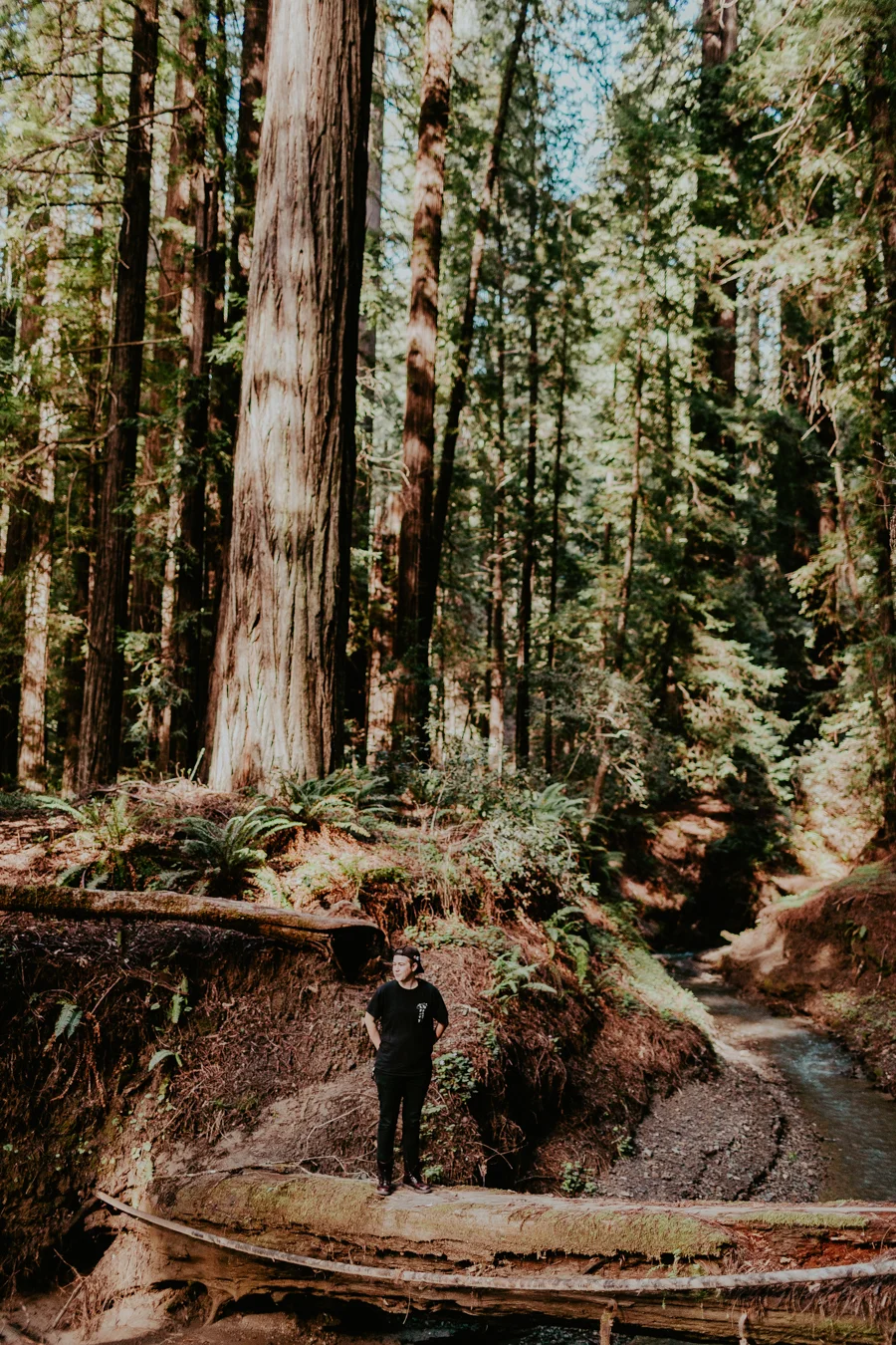 20190318_GreyMatter-50.jpg