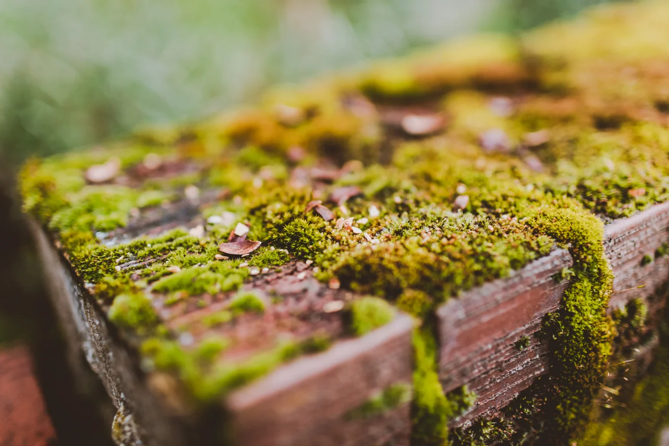 20190322_GreyMatter_Eugene-10.jpg