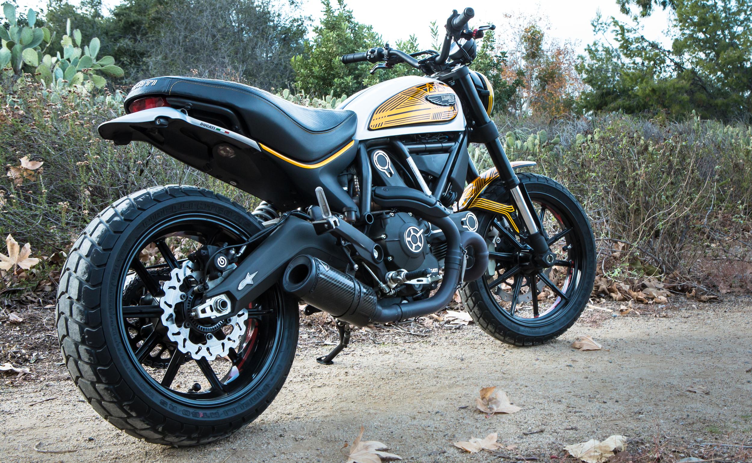 Anaheim Rod and Custom Ducati Scrambler Custom Paint 5.jpg