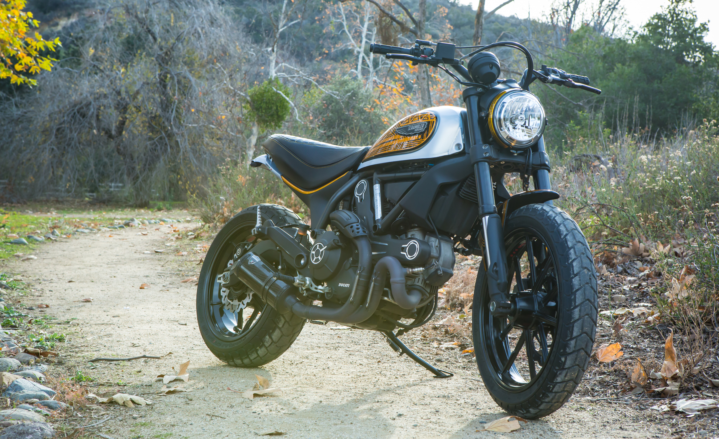 Anaheim Rod and Custom Ducati Scrambler Custom Paint.jpg