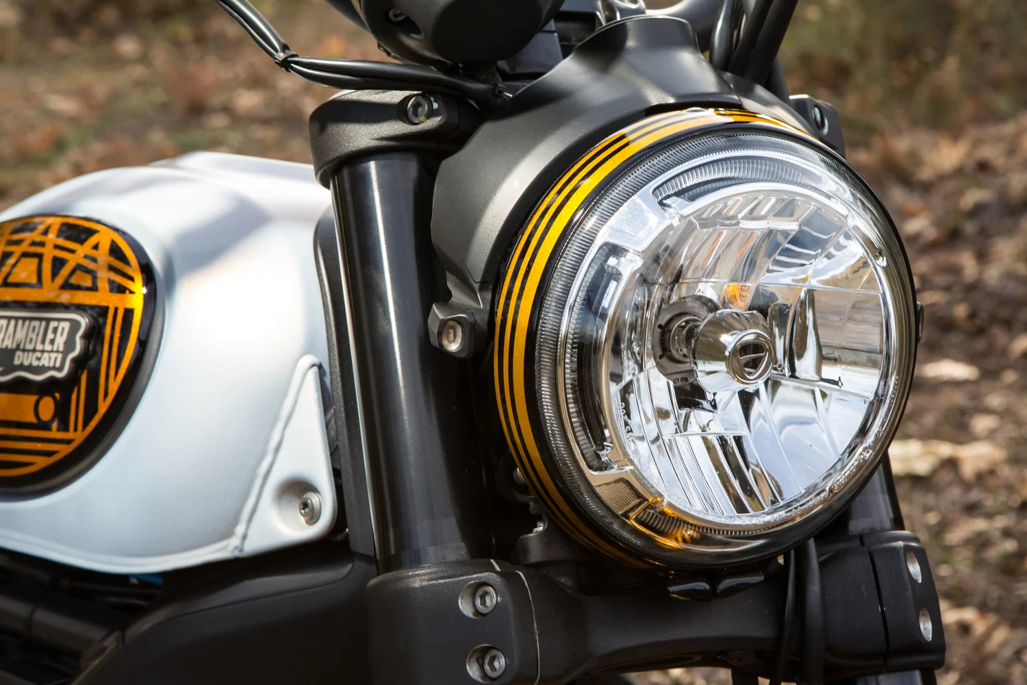 Anaheim+Rod+and+Custom+Ducati+Scrambler+Custom+Paint+2.jpg