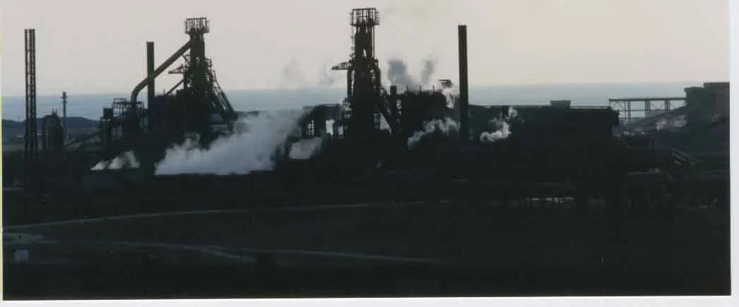 The question is not how to save Port Talbot but whether to