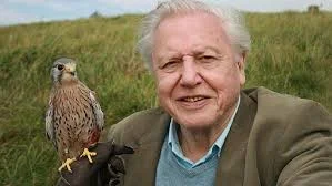 David Attenborough has decided to nationalise your garden