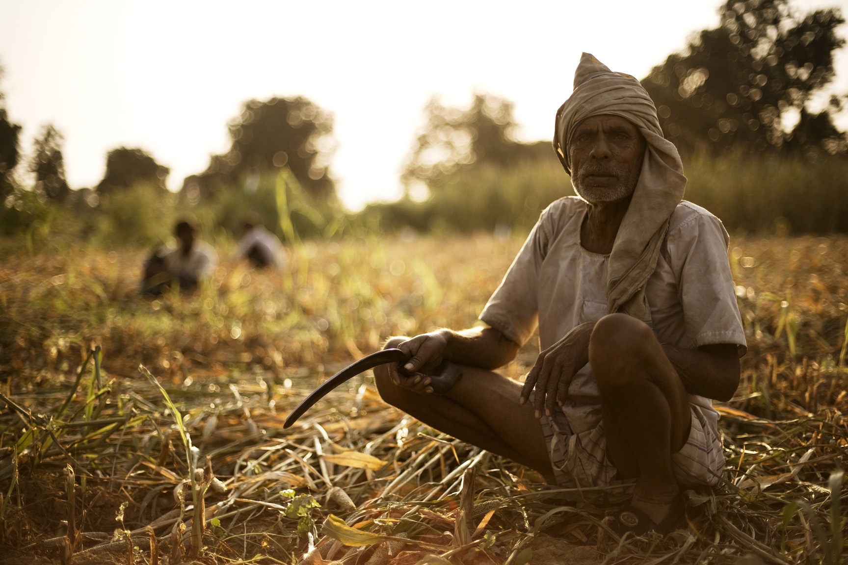 Modi’s development key: agricultural land rights liberalisation