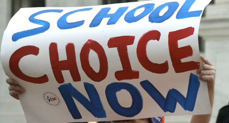 Charter schools and the aspiring classes