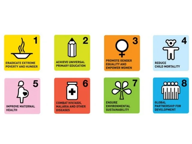 We need to get this right about what the Millennium Development Goals have achieved