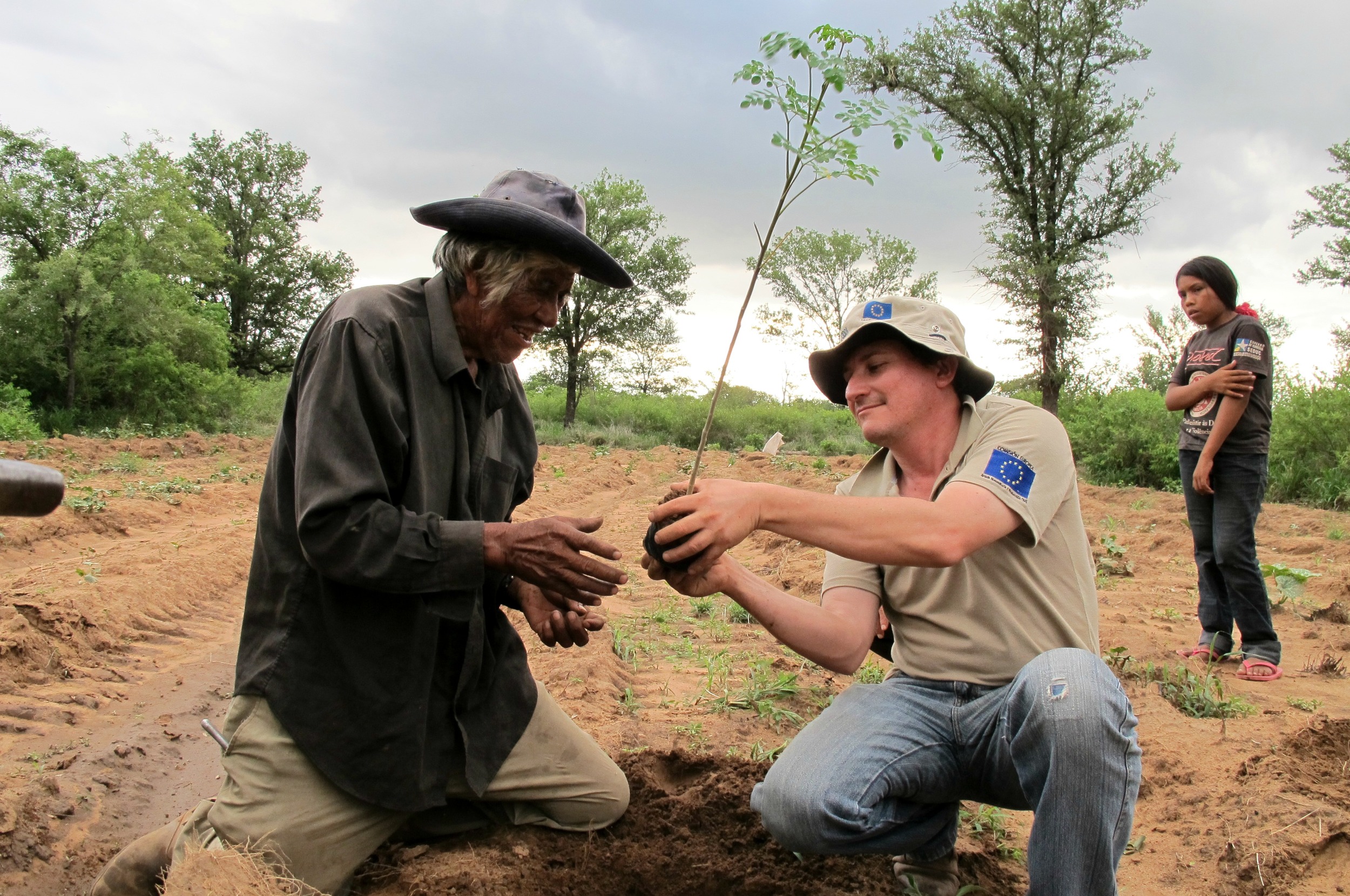 Which aid is worthwhile?