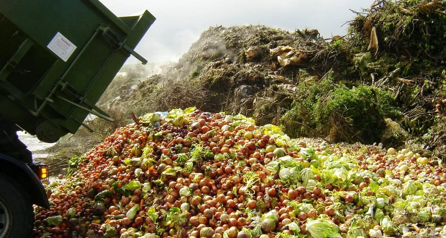 Proof perfect that supermarket food waste is not a problem