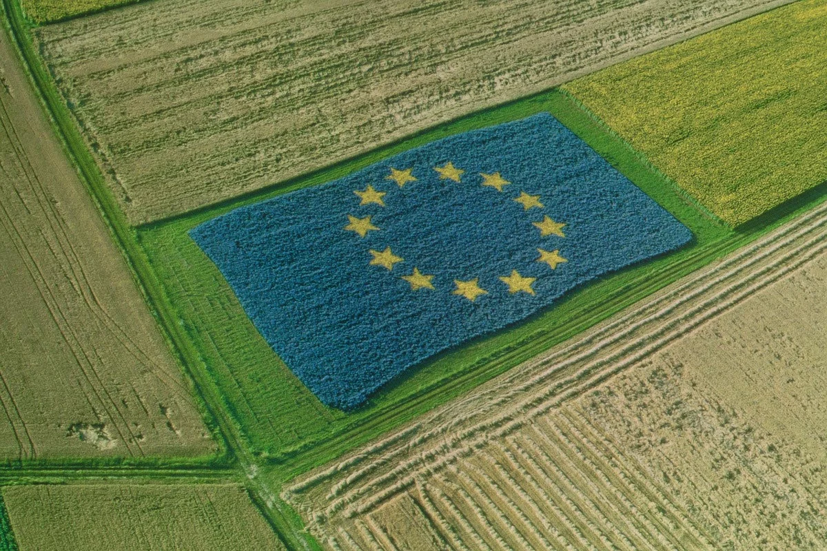 Brexit allows us to make food markedly cheaper