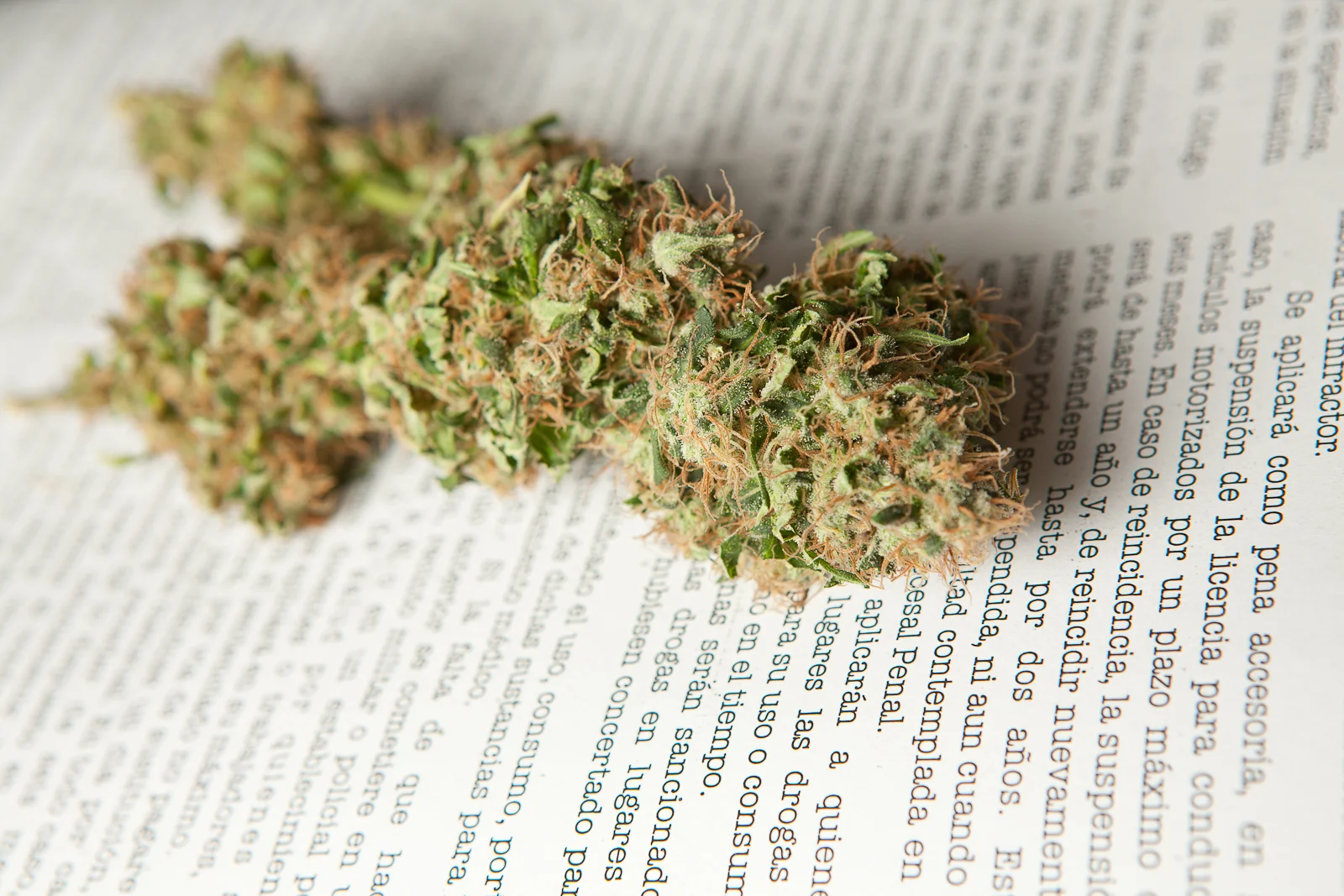 Prohibition created Skunk. It's basic economics