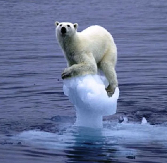 How excellent, so that's climate change dealt with then