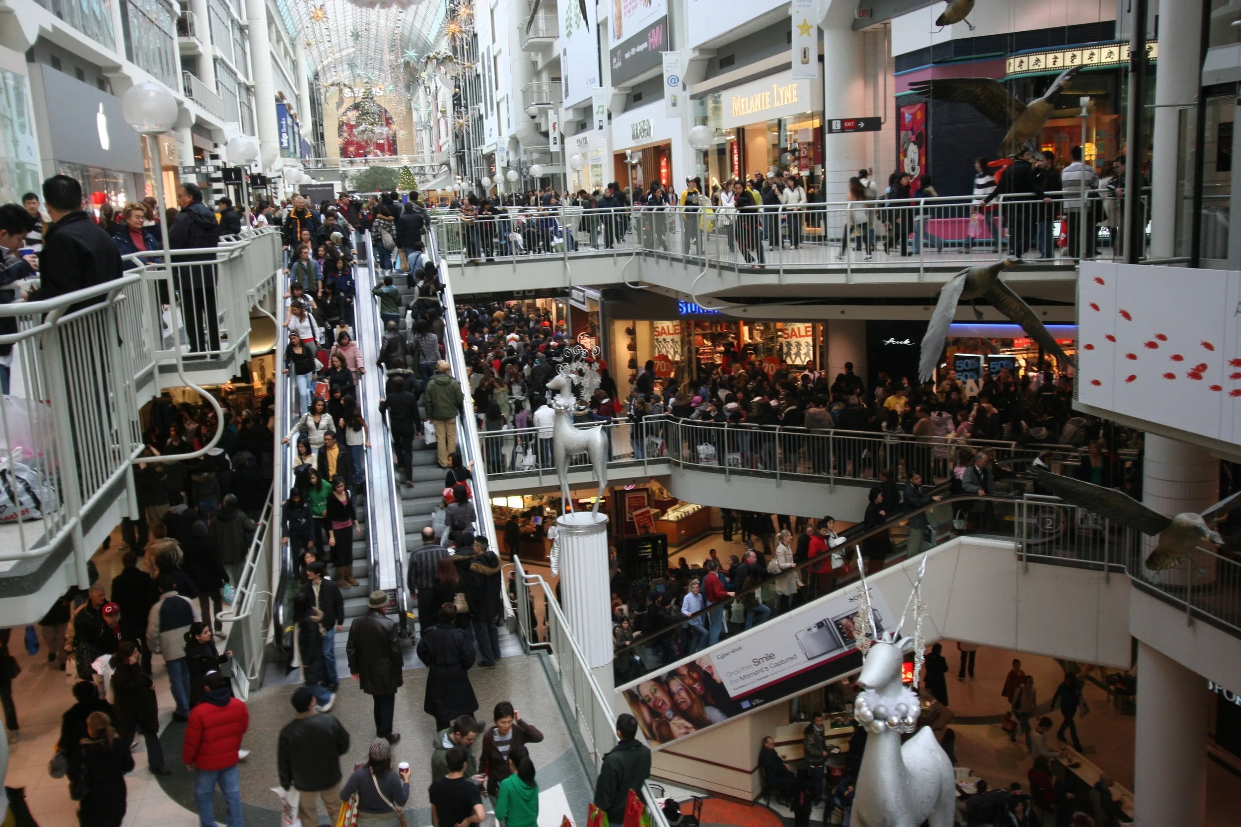 Black Friday is nothing to moan about