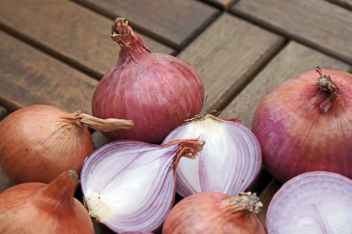 To complain about Lidl's peeled onions means you think someone would like them