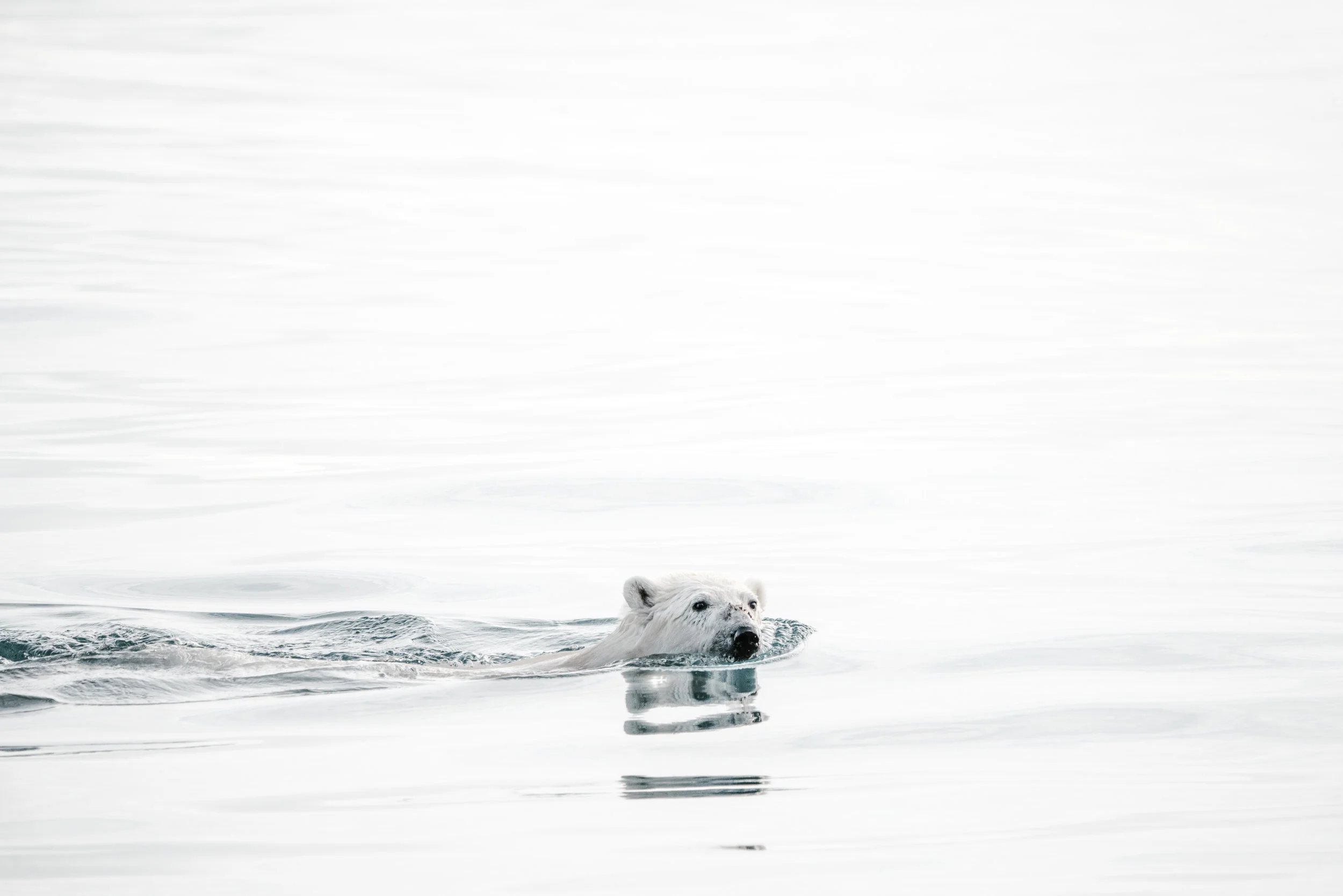 It's the disinformation from some that so annoys about climate change