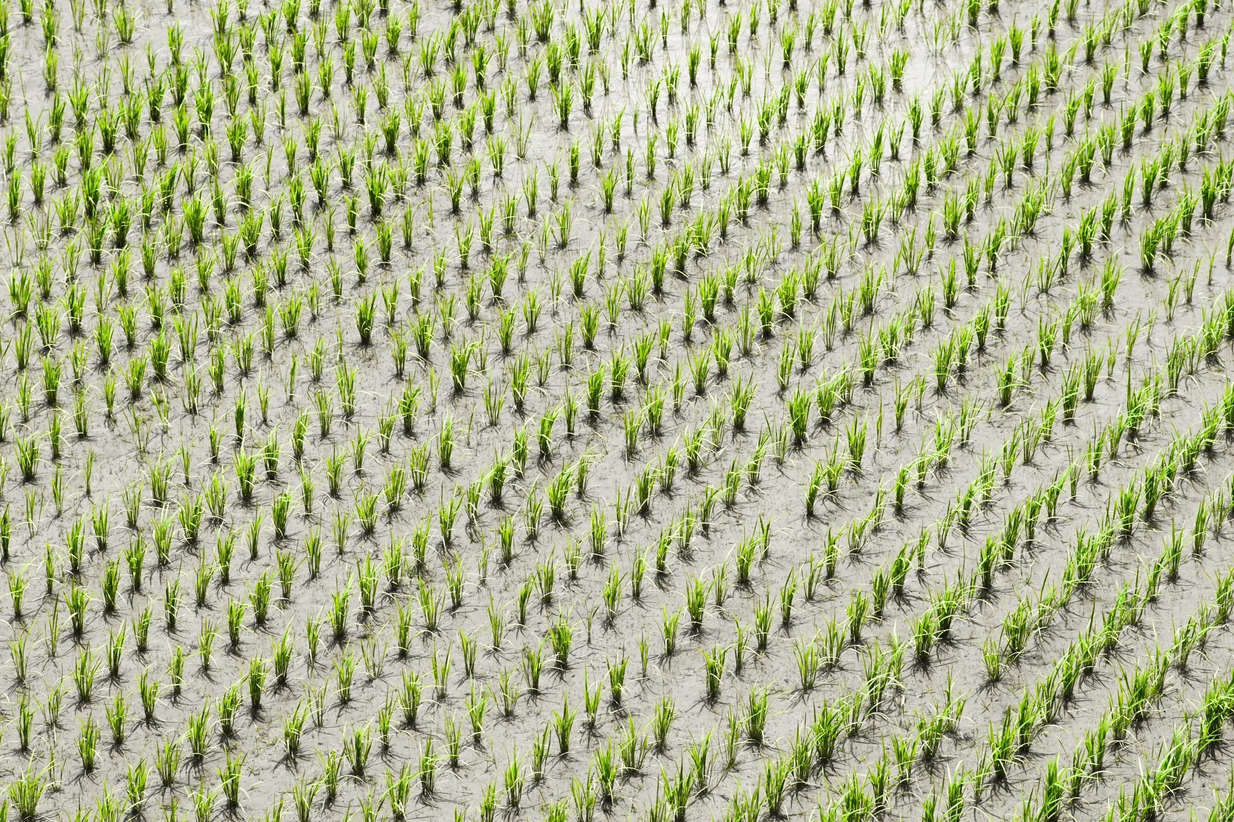 We will be able to test how much people like the environment