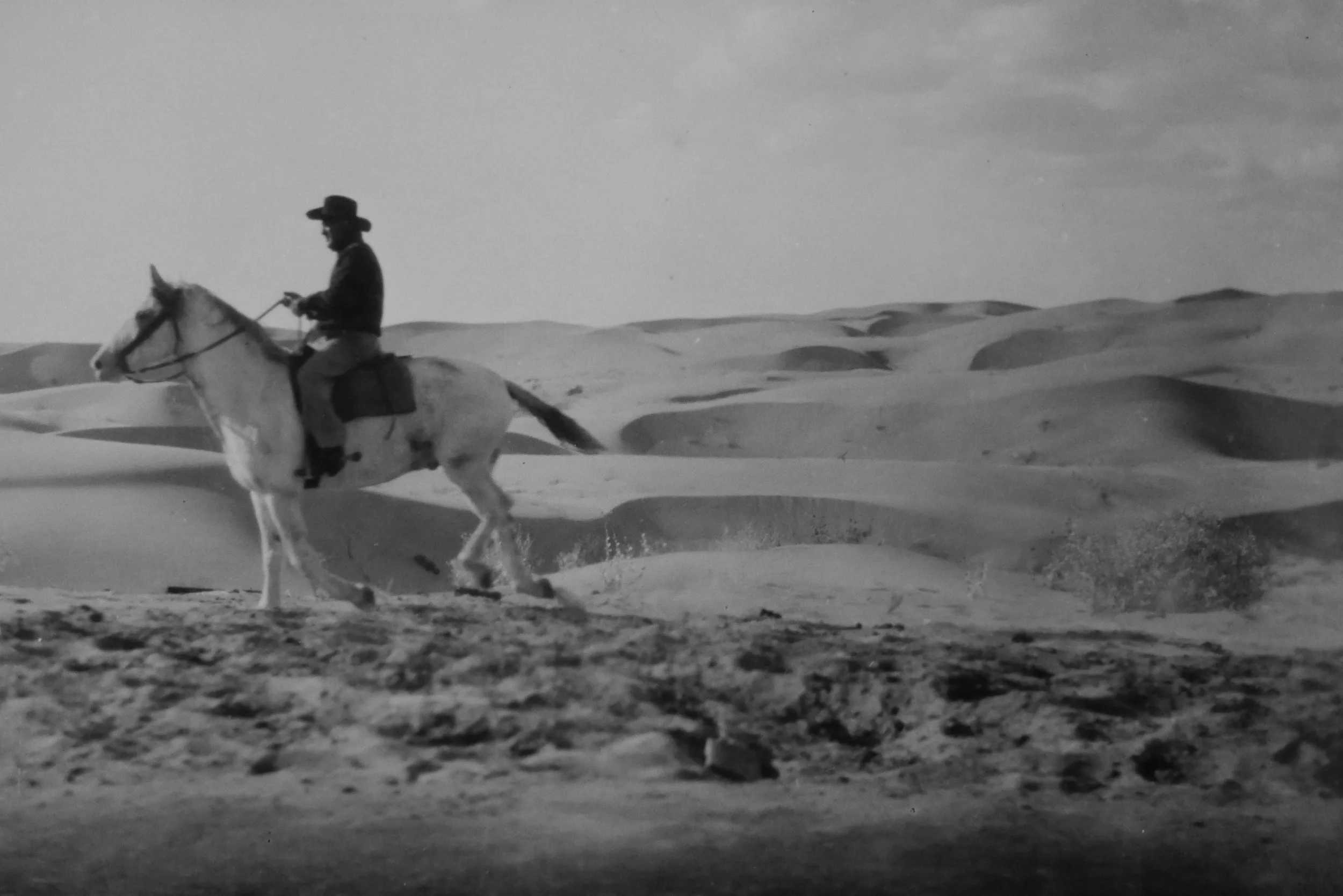 The Mild West: Terror or Tranquil? 