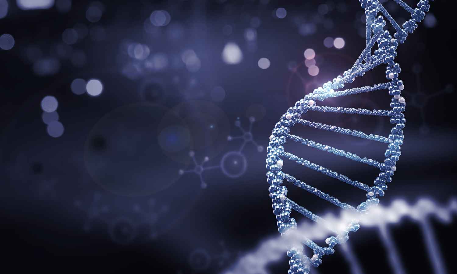 DNA is finally sequenced