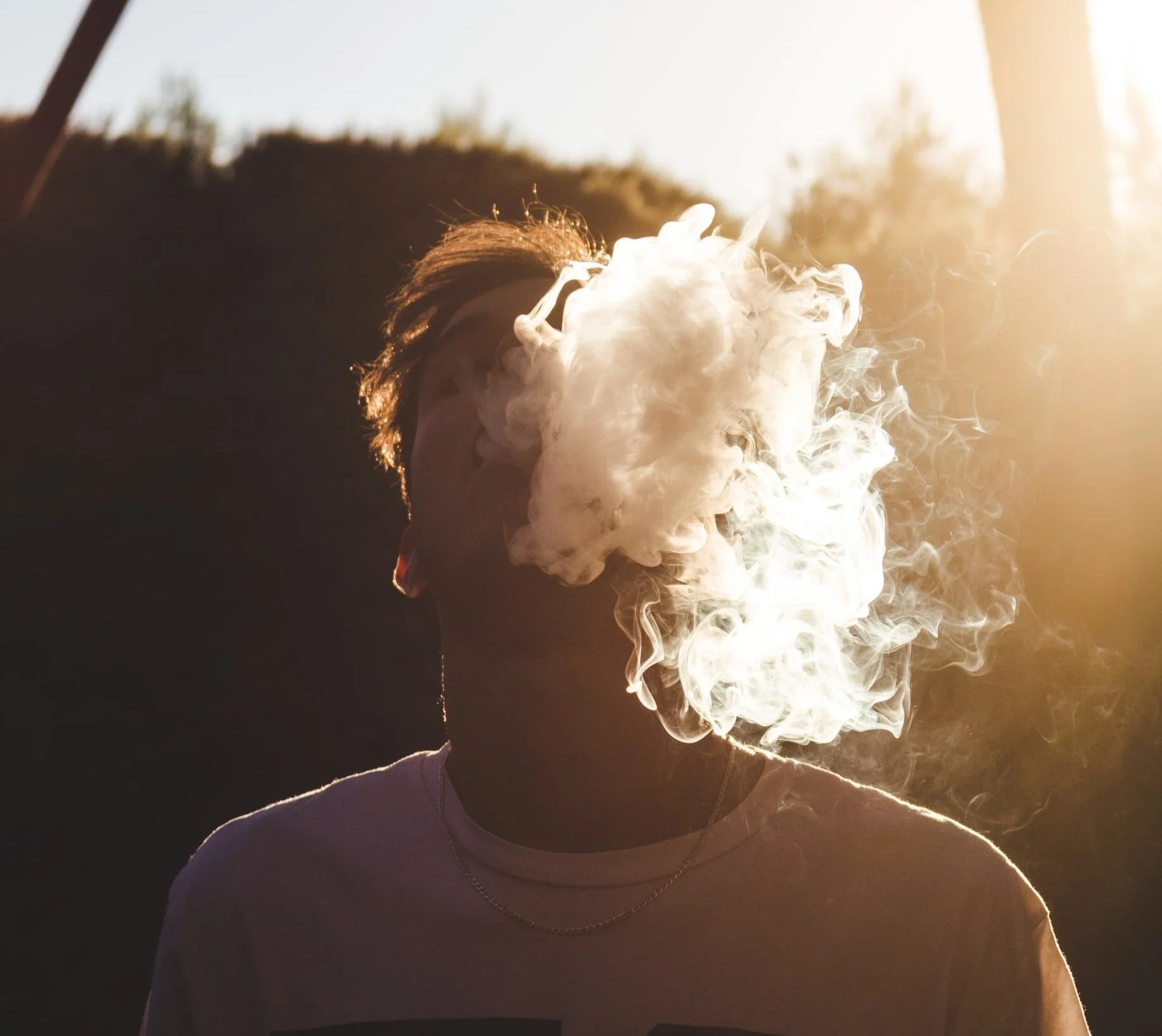  Unlocking tobacco harm reduction   Up in smoke    Read on  