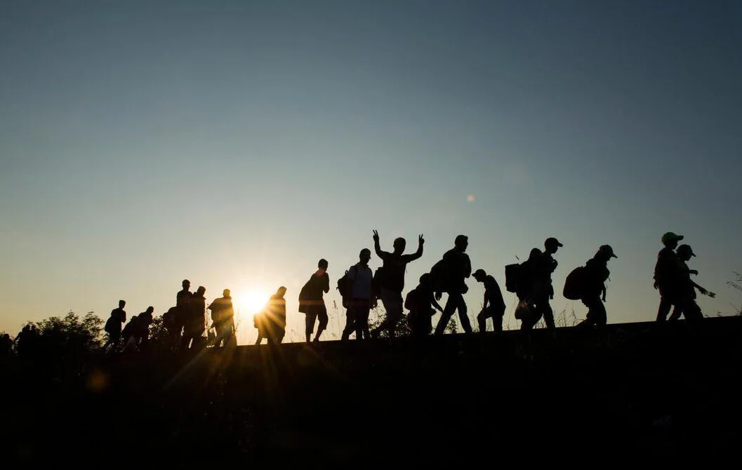 International Migrants Day