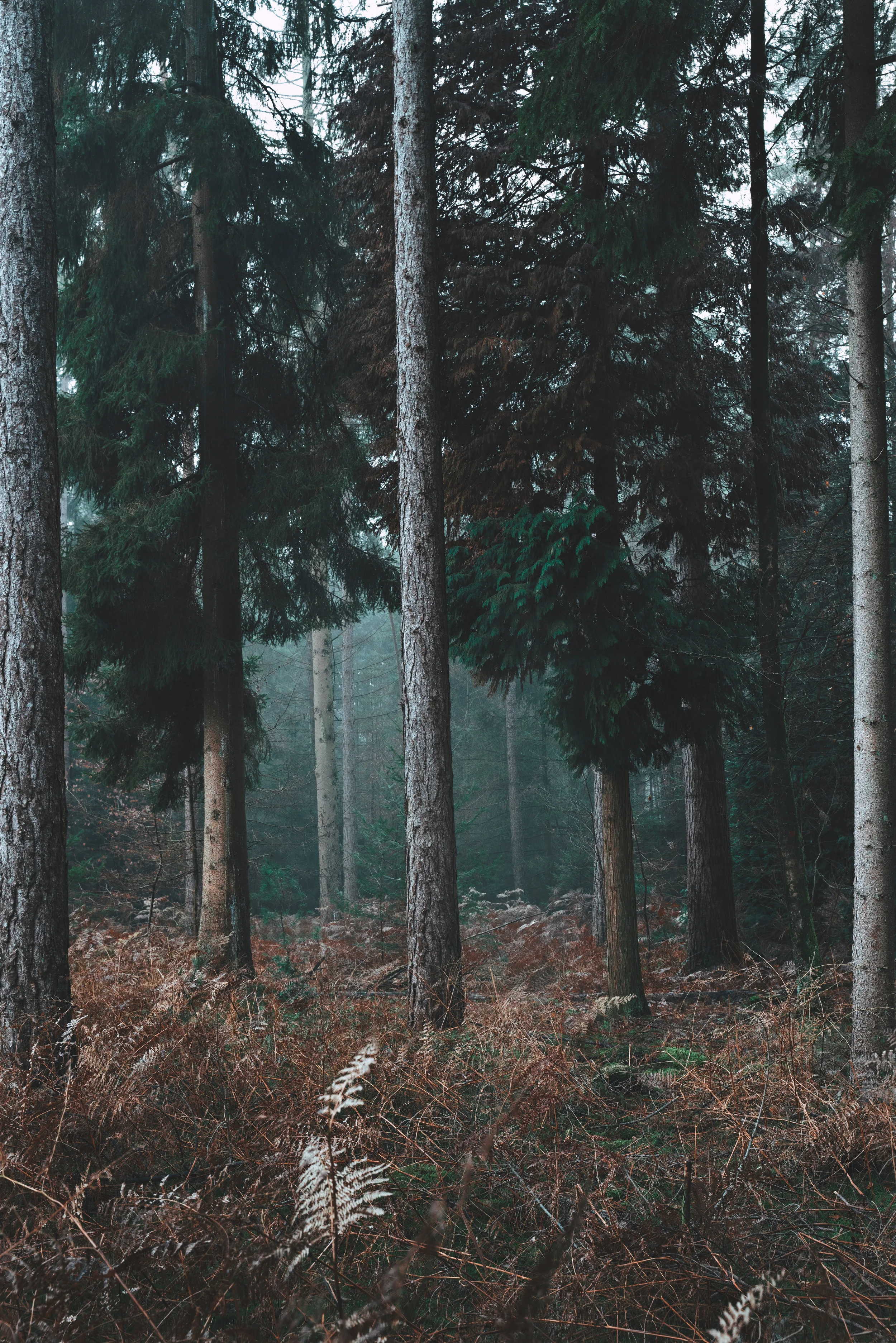 The thing is, this is actually true