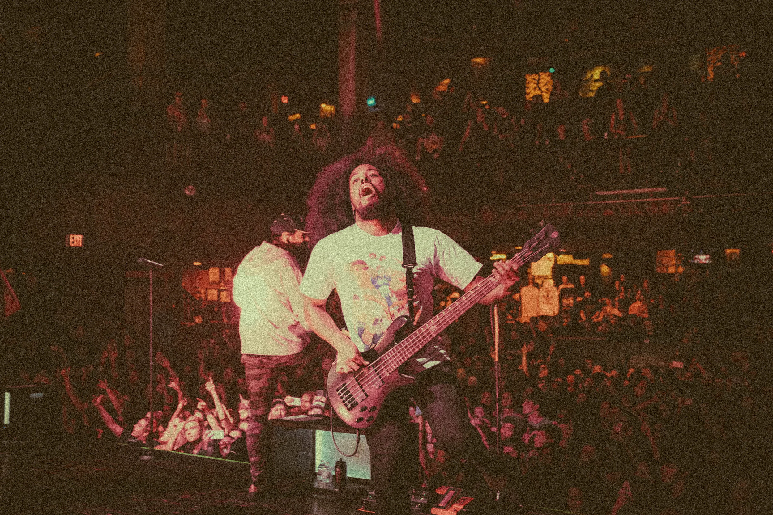 Of all the strange things it is possible to desire