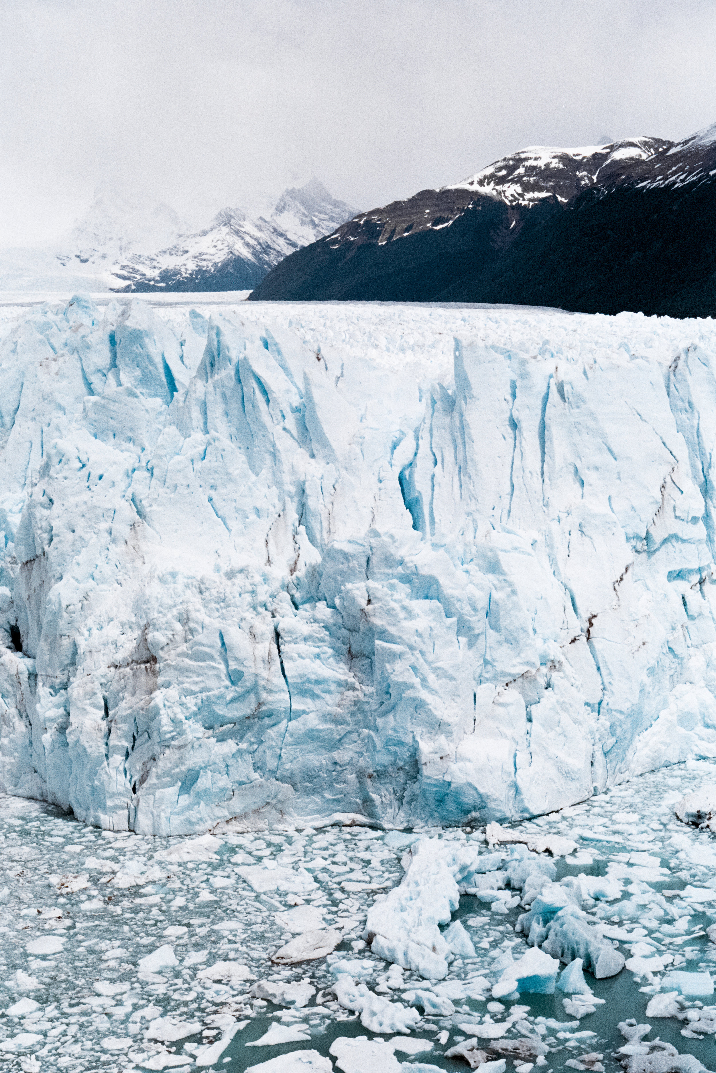 Do not believe that the polar bears are about to disappear