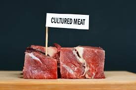 Reasons for optimism - cultured meats