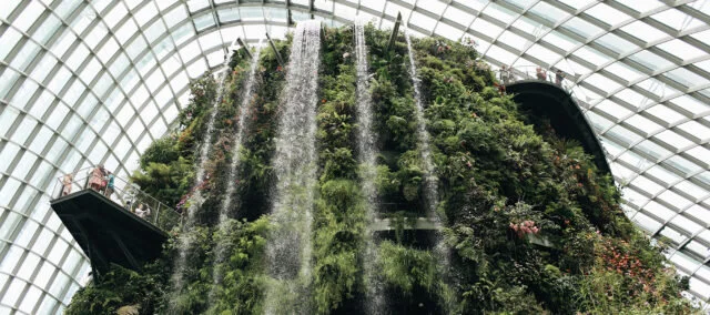 Reasons for optimism - technological environmentalism