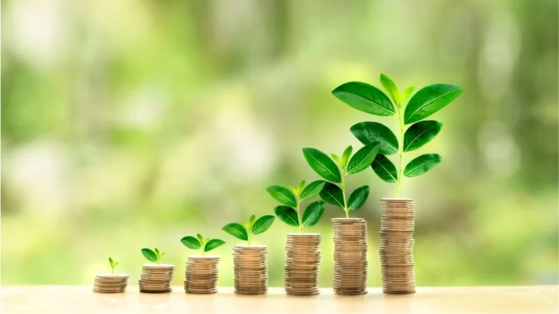 Reasons for optimism - wealth