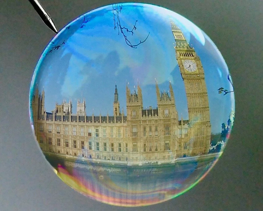 The view from the bubble