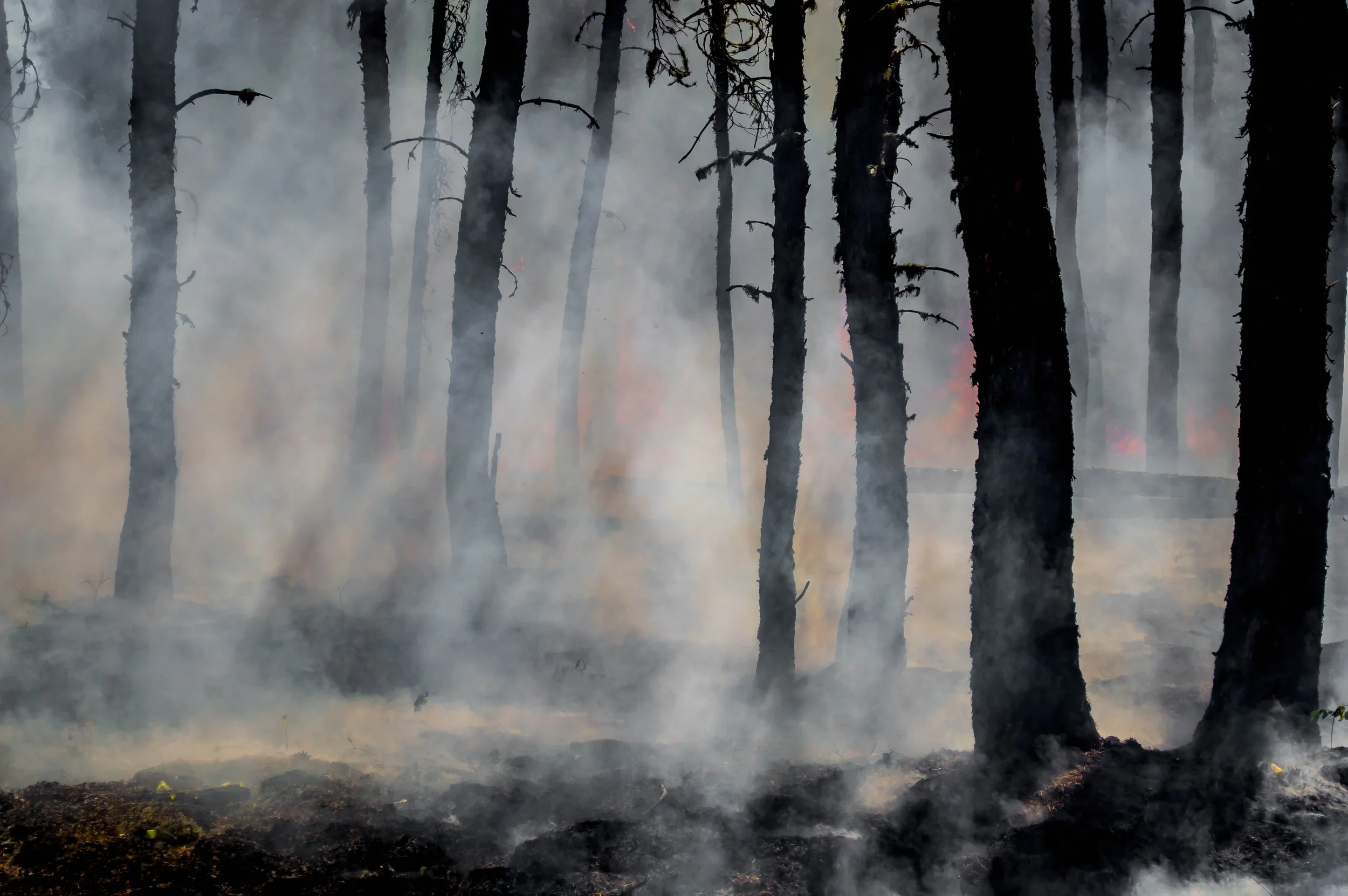 We wouldn't call this enhanced wildfire risk a problem exactly