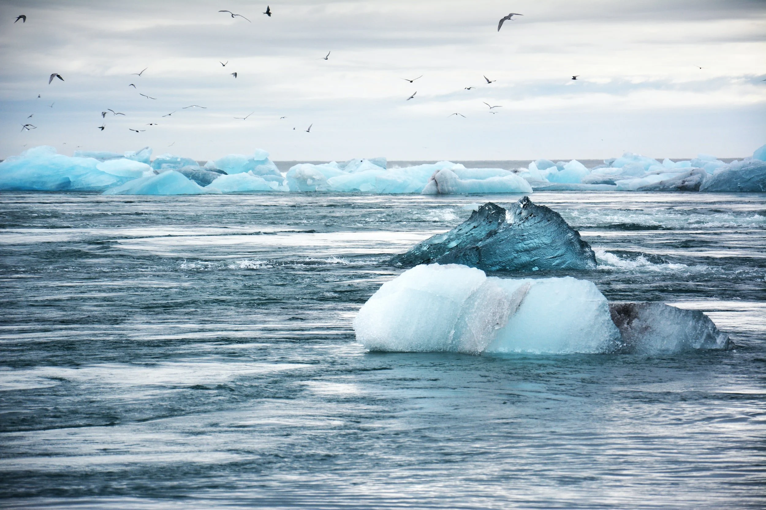 If only George Monbiot bothered to read the climate change science