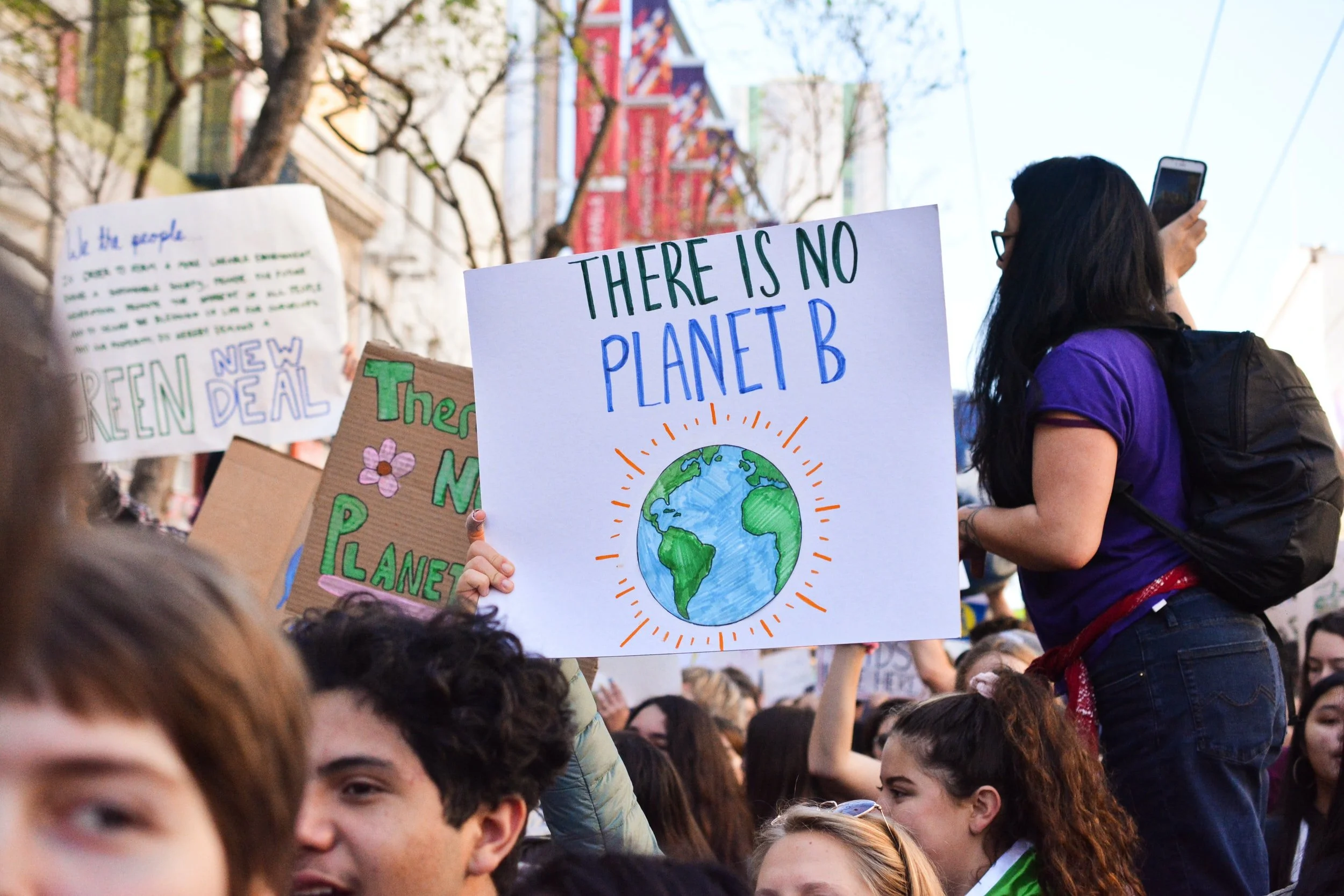 As we've been saying, stranded carbon assets aren't a problem
