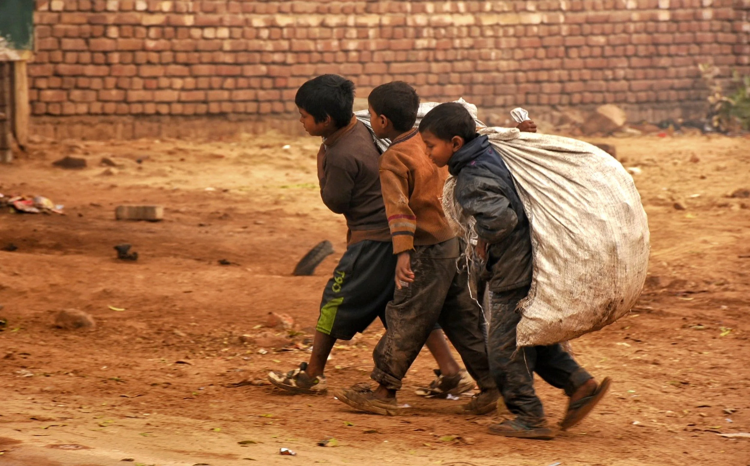 Polly Toynbee's Lament