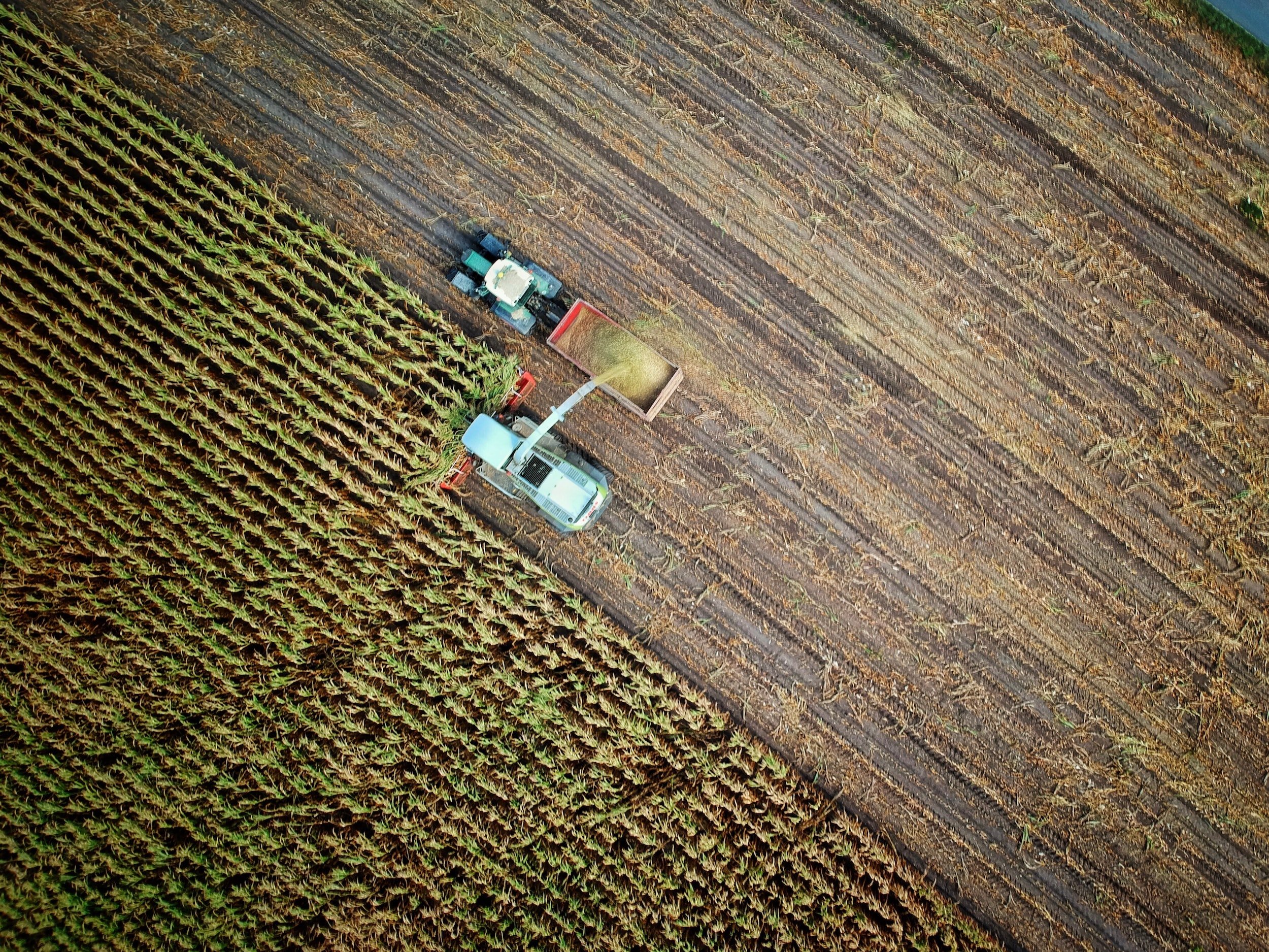 How wondrously glorious that farmers make such small profits