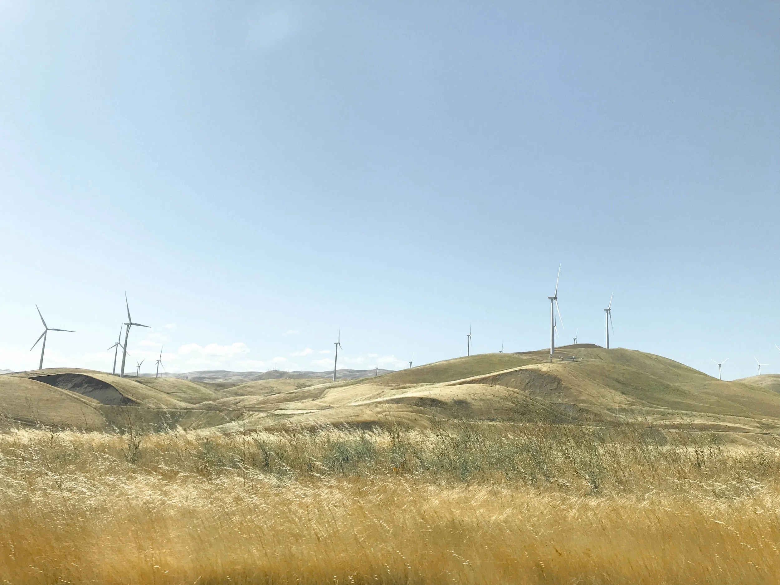 We should be buying our windfarms from China, obviously