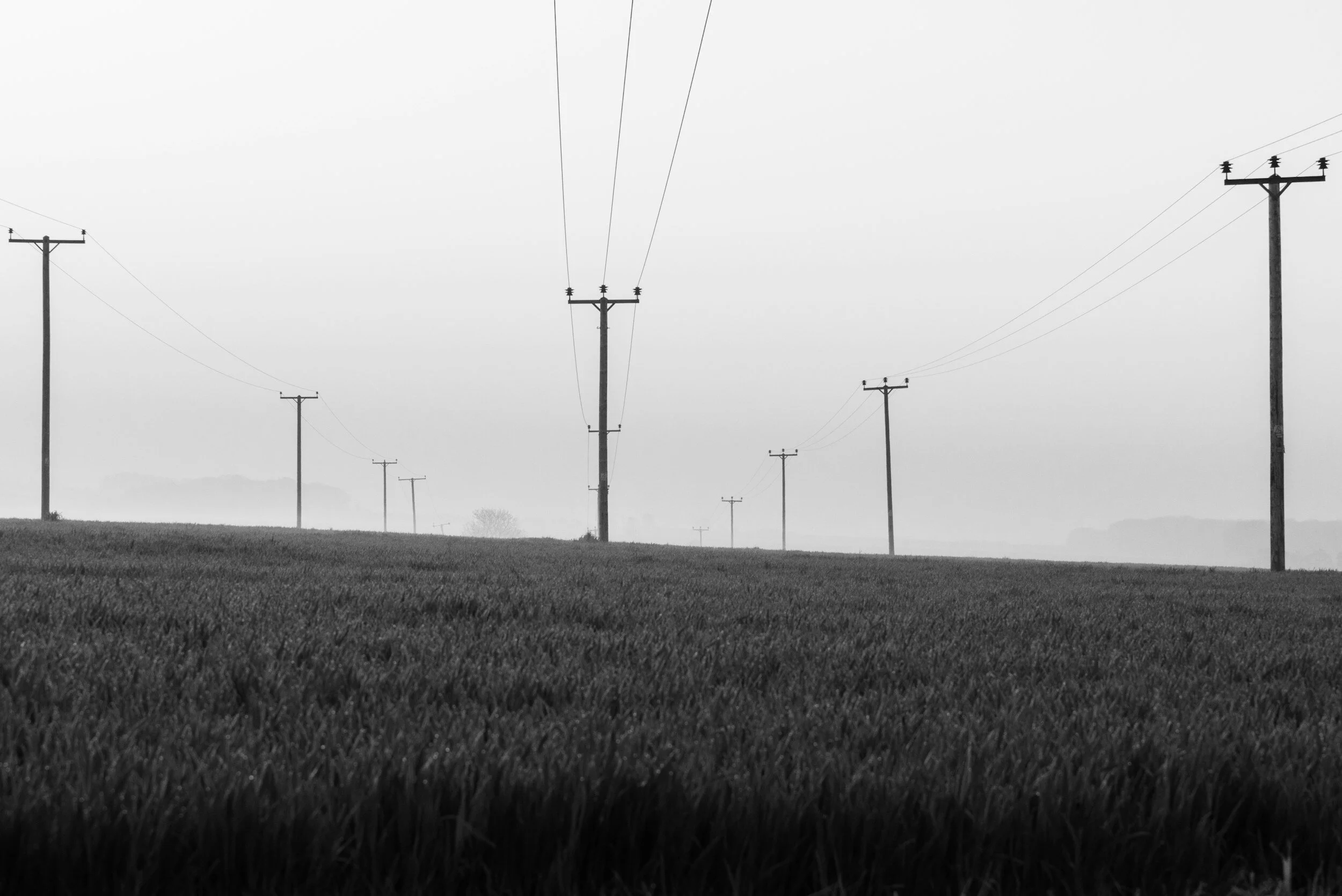 This isn't the way to decide things