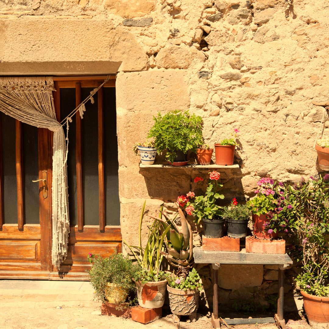 Banning the export of houses is one of those…odd…ideas
