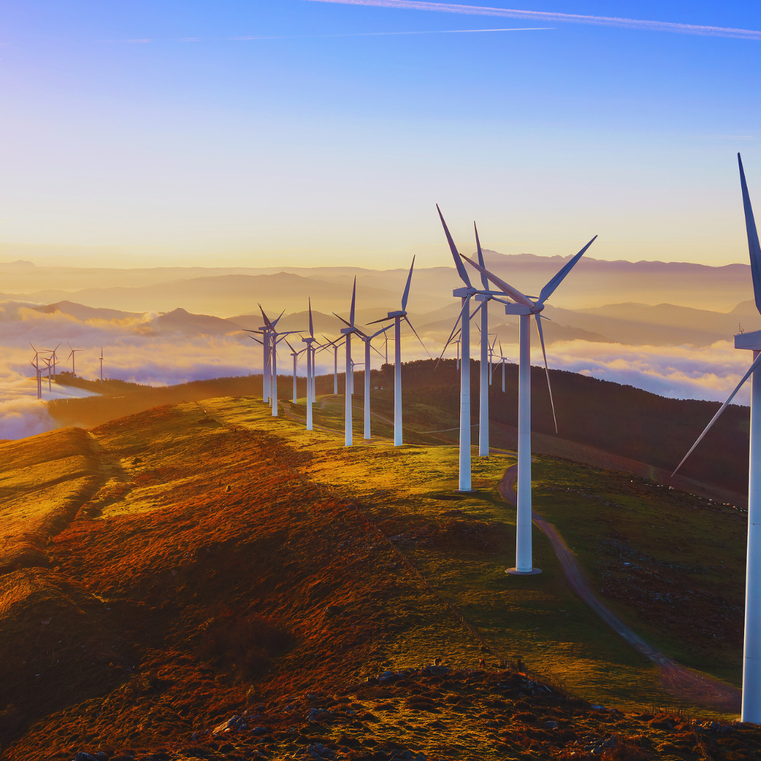 Why is a booming Net Zero economy a good idea? 