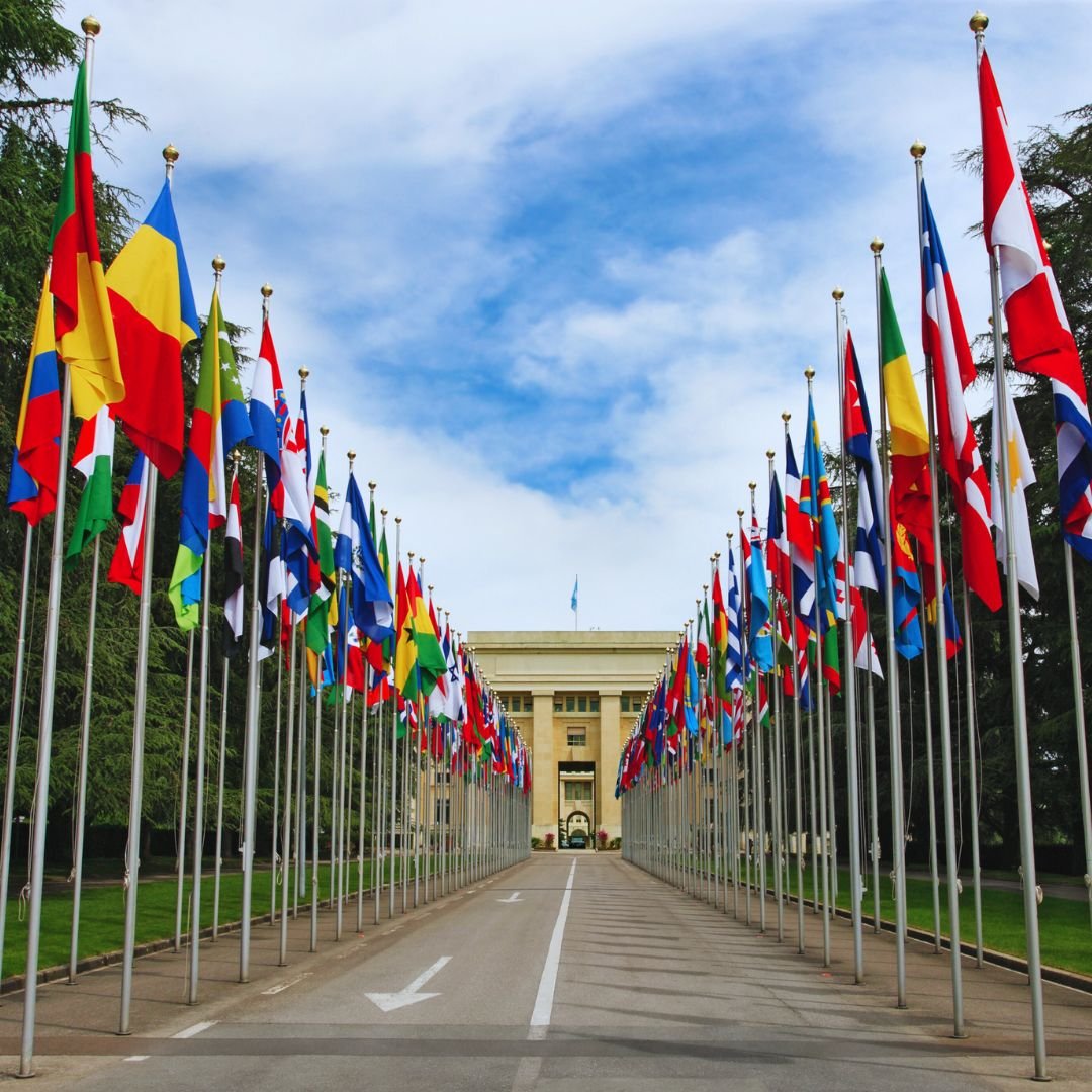 To be against the UN tax convention
