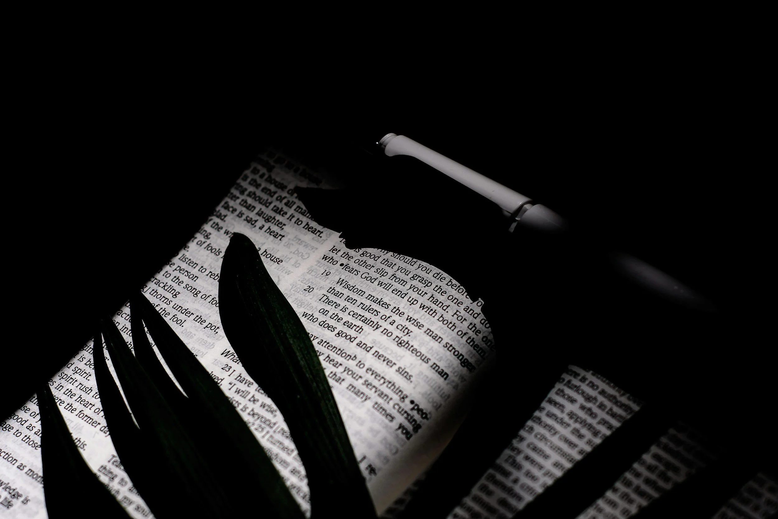 Even More Useful Maxims