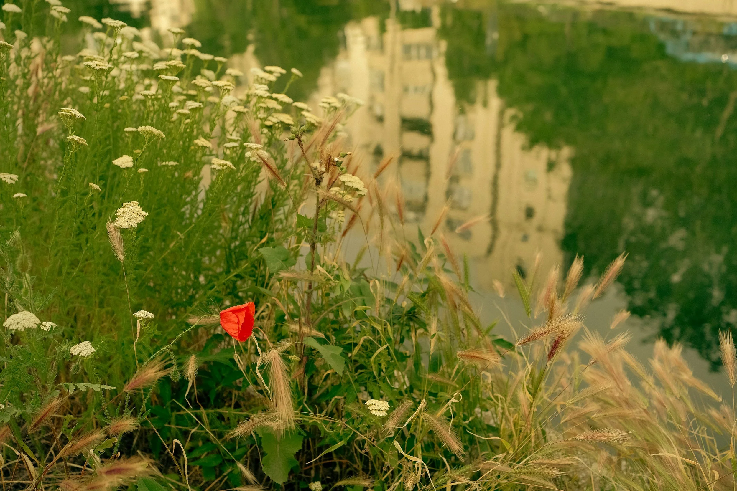 Barriers to young aspirers