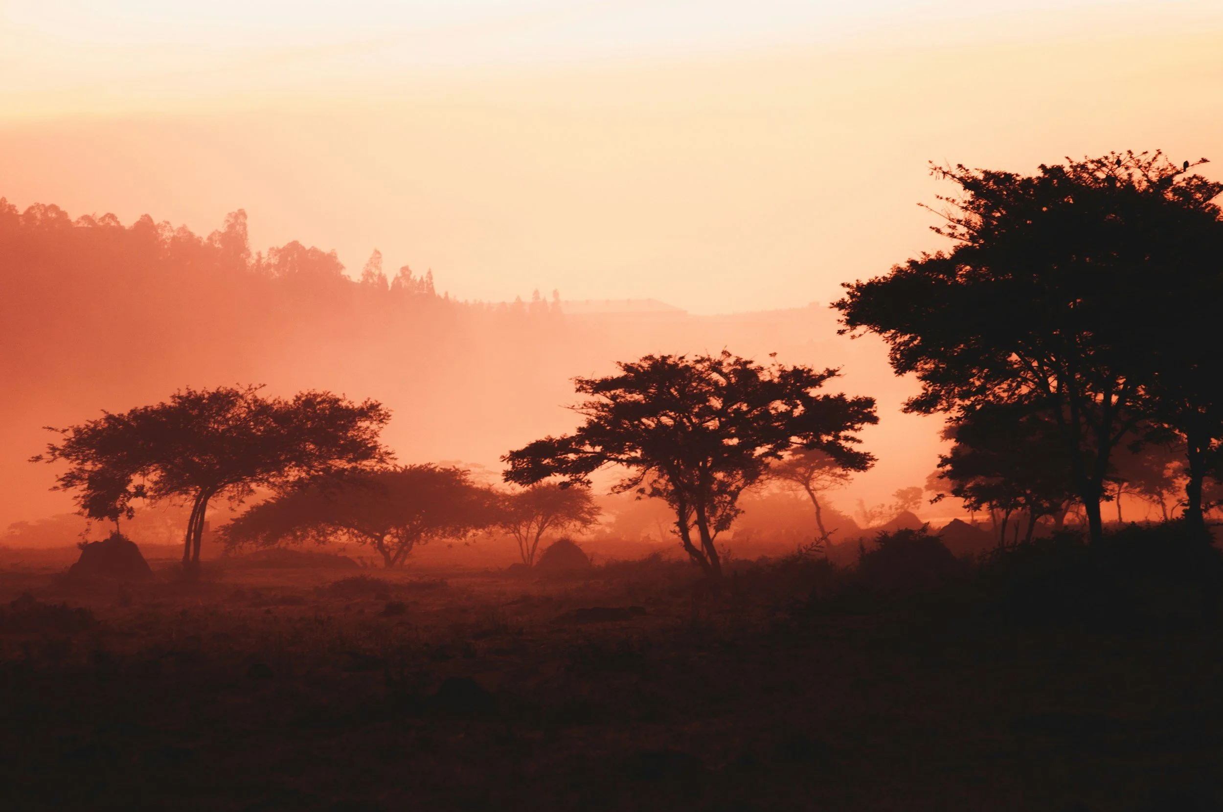 The Rwanda Britain Ignored