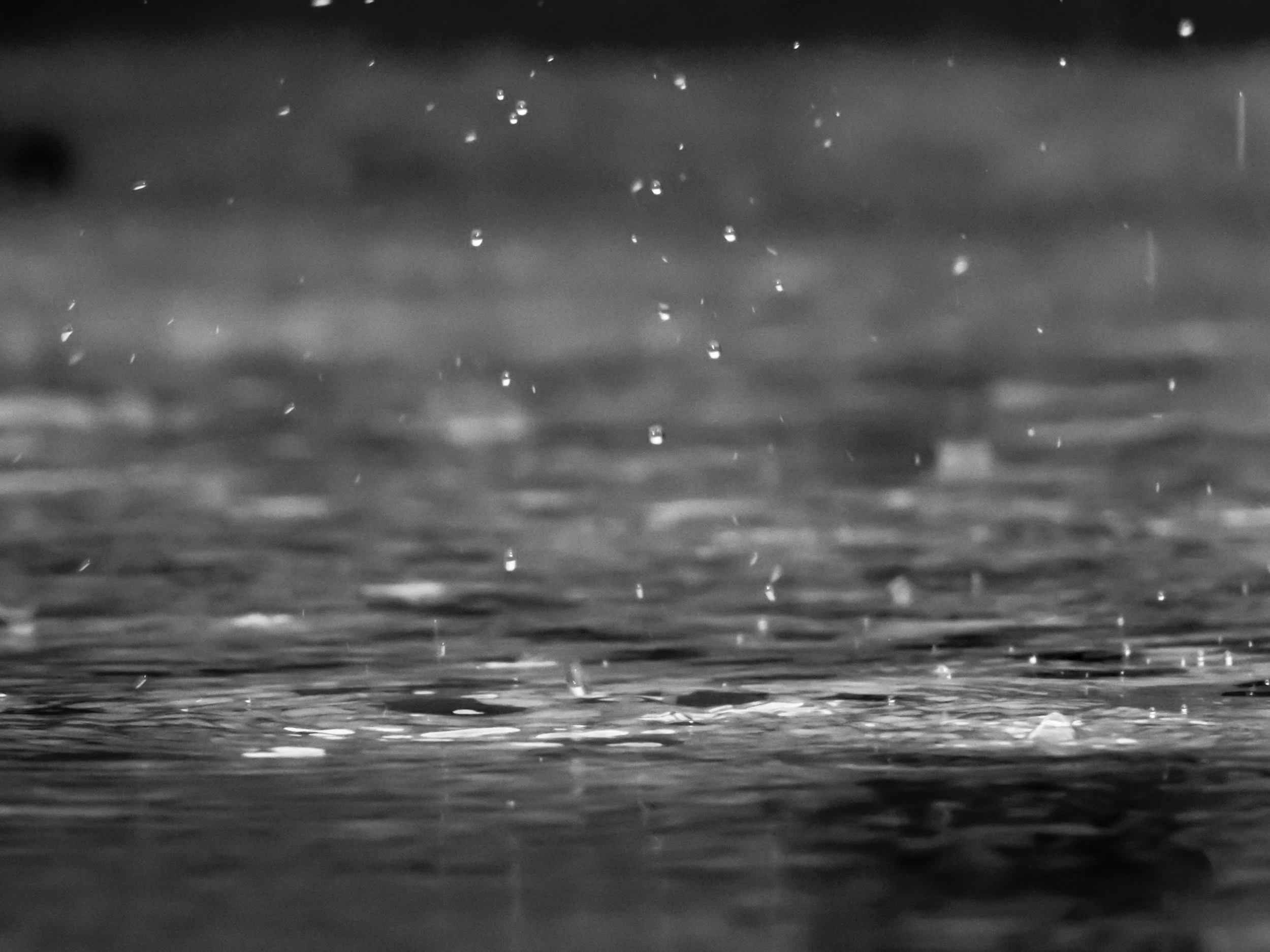 Again - forest fires are not about summer heat but winter rains