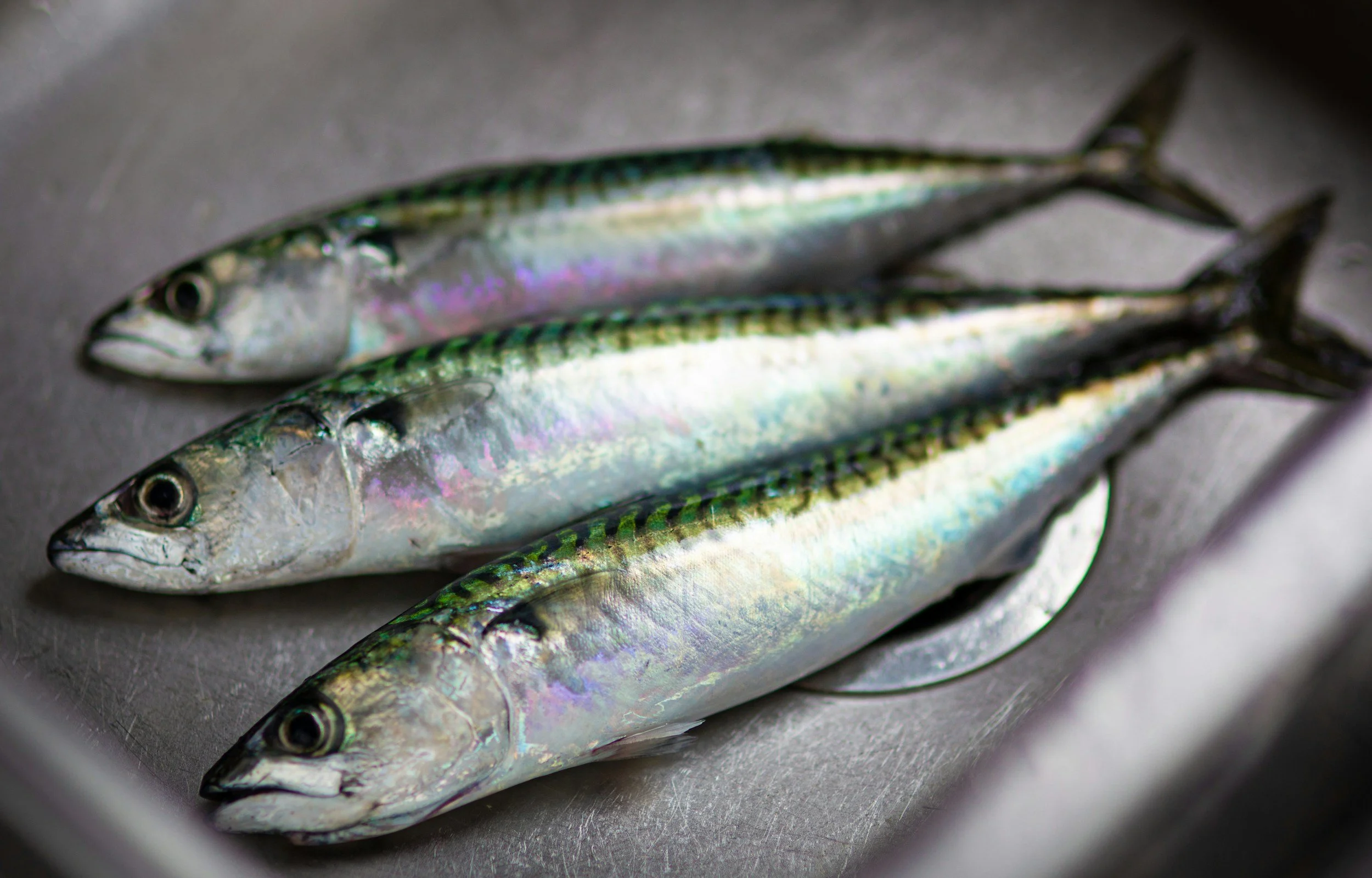 We’re what? Running out of mackerel you say? 