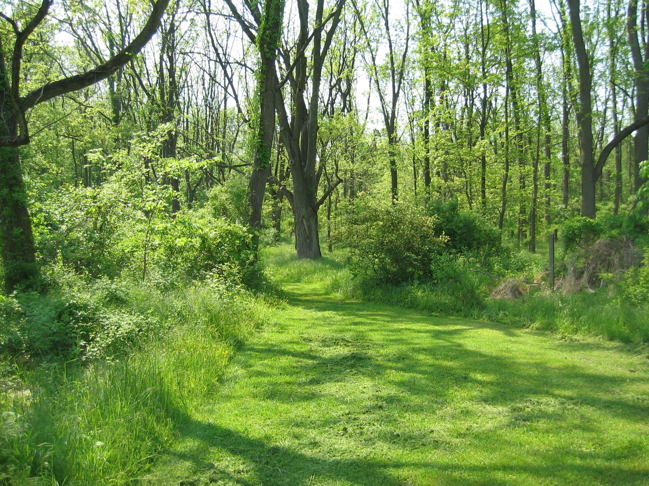 George Lorimer Preserve