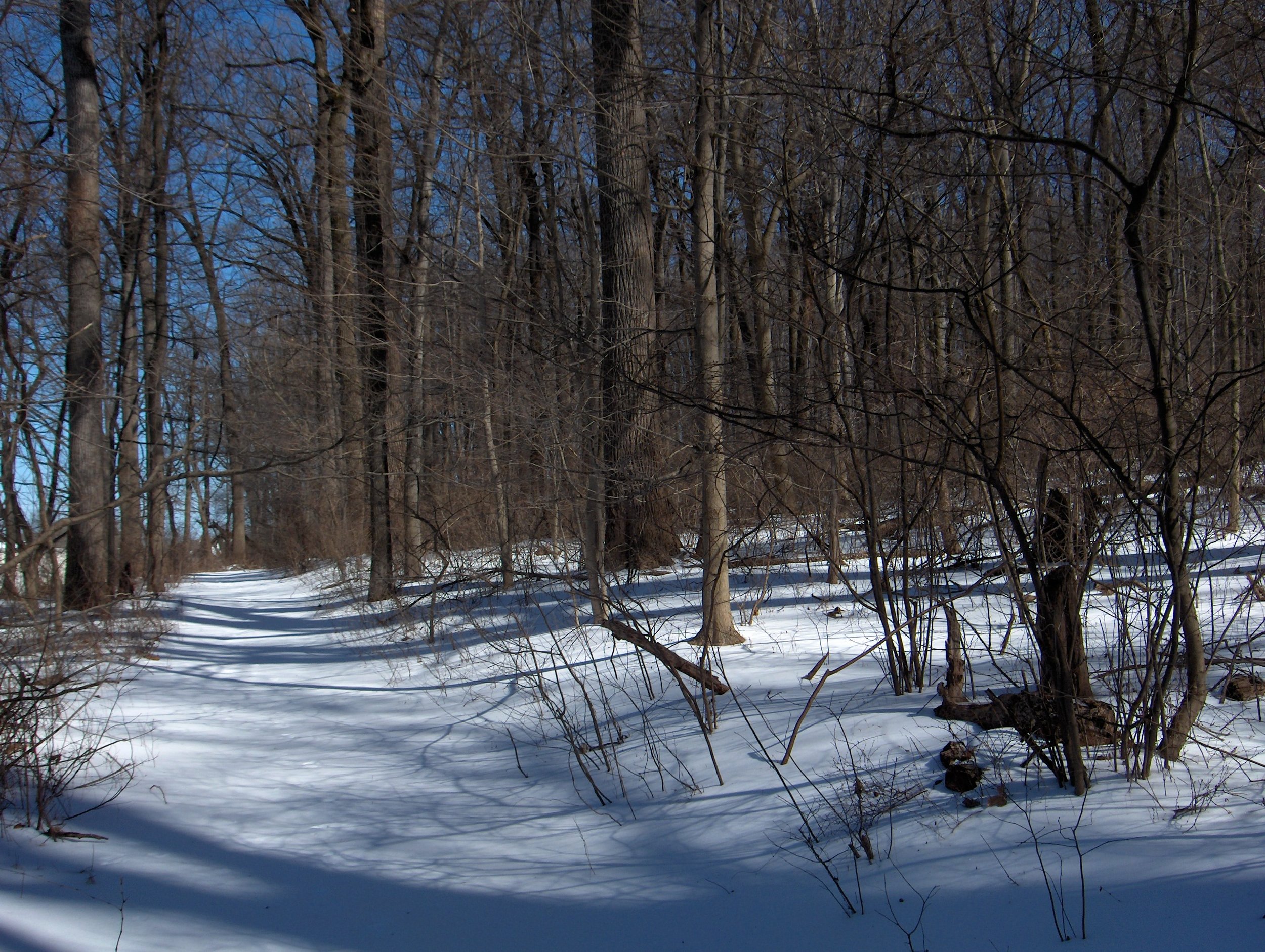 Airdrie Fire Rd Trail Mar 07.JPG