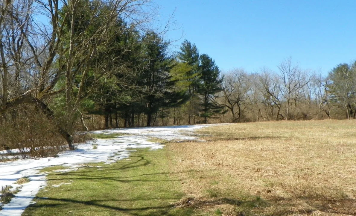 Cool Valley Google 5.jpg