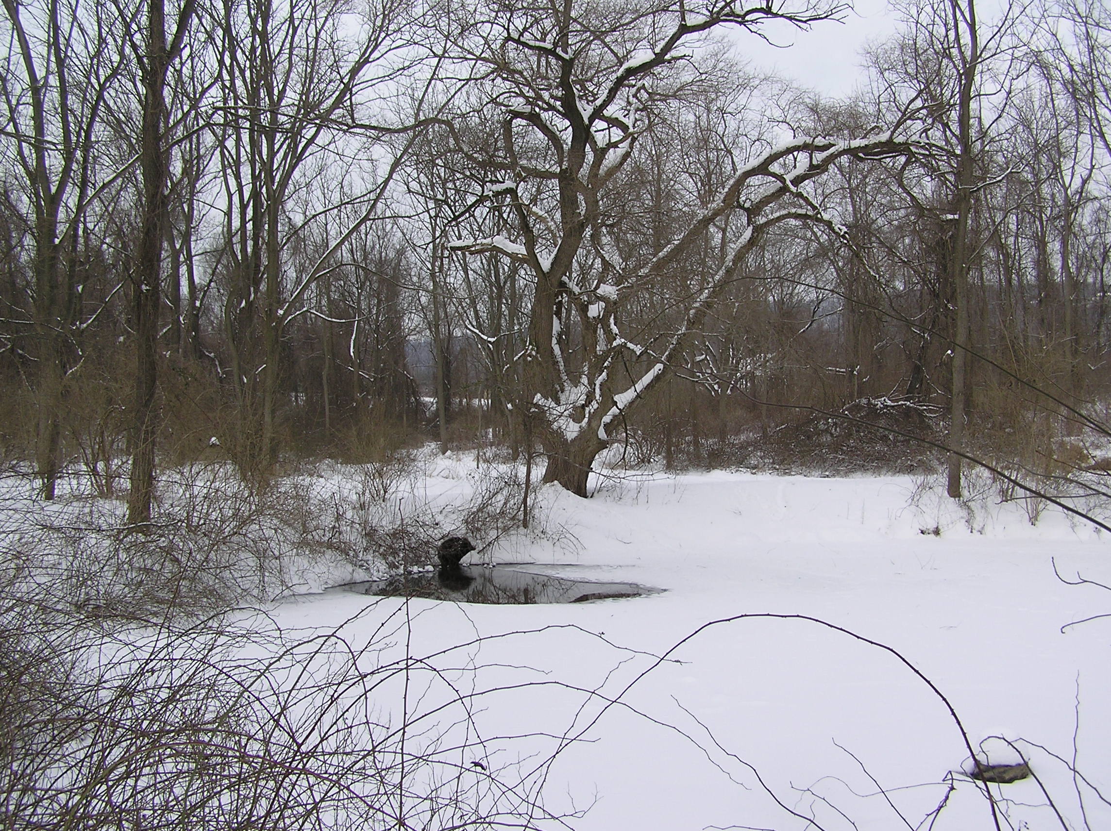 050201 020.jpg
