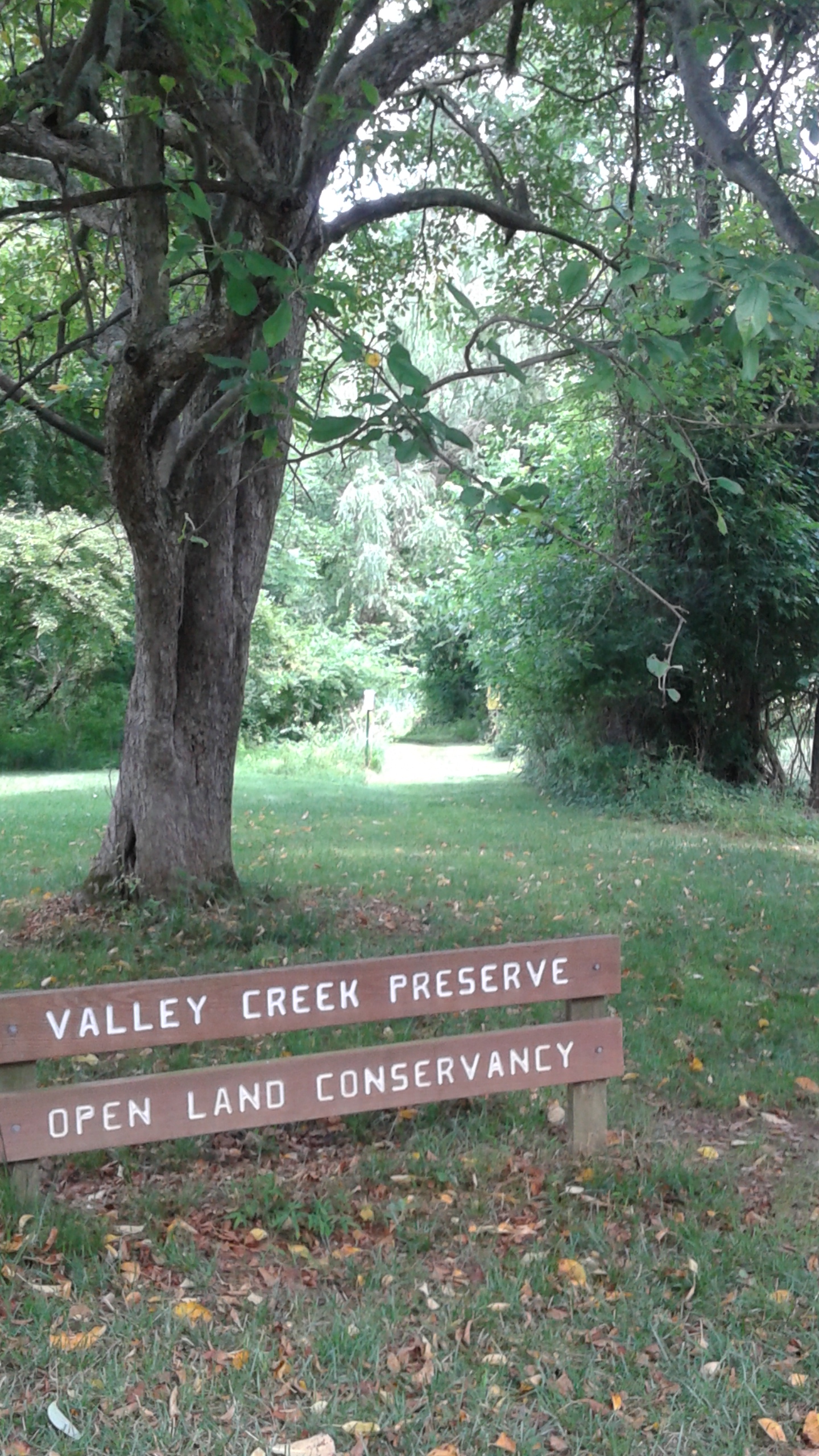 VC Hayfield Entrance 8.2016.jpg